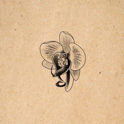 Flash tatouage orchidée