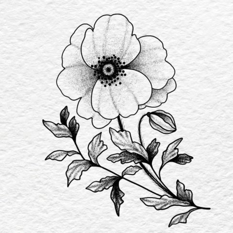Flash tatouage proche Rouen coquelicot