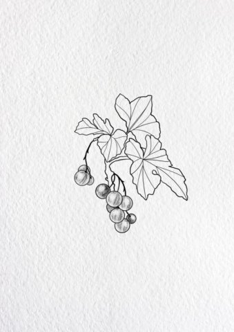 Flash tatouage groseilles fruits Aurélie Koala