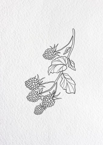 Flash tatouage fruits mûres