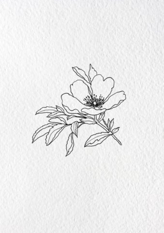 Flash tatouage floral églantine