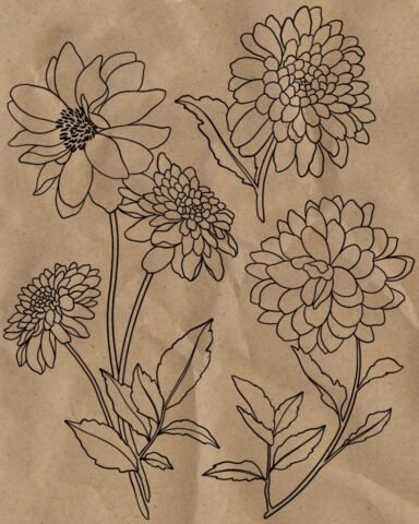 Flash dahlias Flash tatouage dahlias