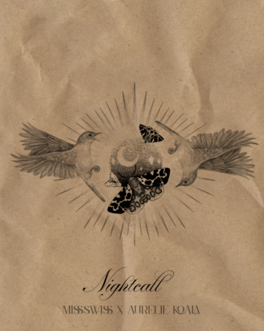 Flash Night call Flash tatouage collaboration Aurélie koala miss swiss tattoo oiseaux papillons